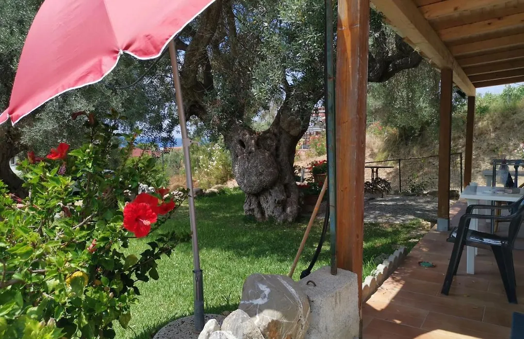 Baia degli ulivi-1