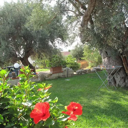 Baia degli ulivi-2